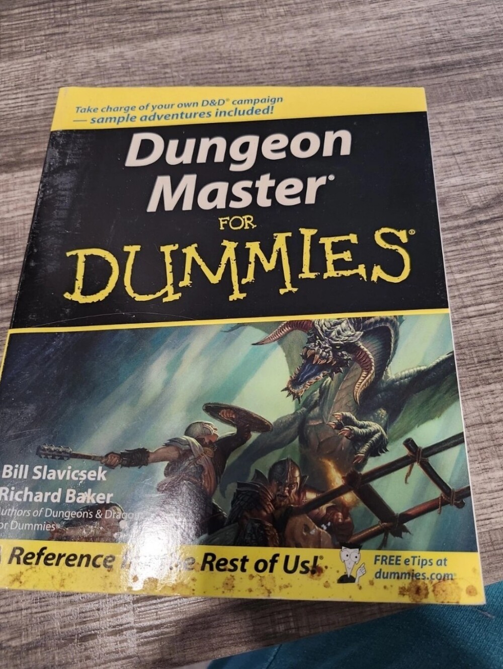 Dungeon Master For Dummies by Richard Baker, Bill Slavicsek (Paperback)